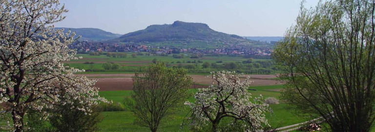 walberla.jpg